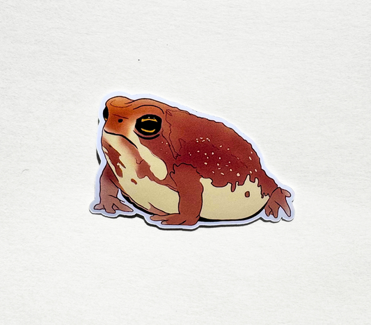 Toad Boi - Vinyl Sticker